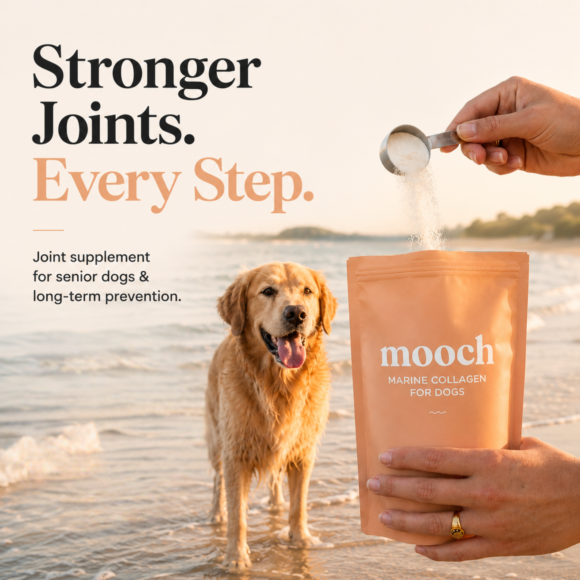 Daily Joint & Skin Supplement For Dogs