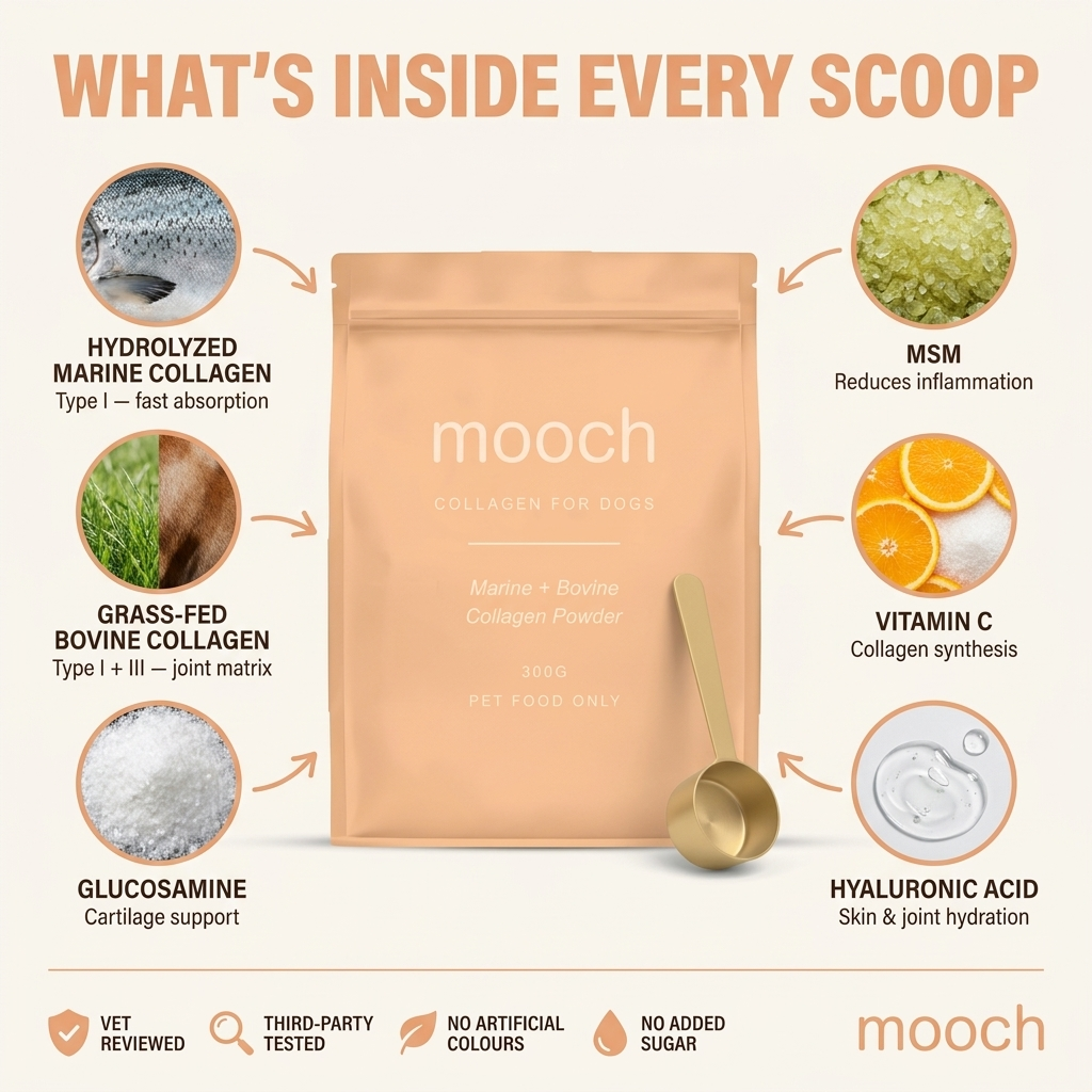 Daily Joint & Skin Supplement For Dogs