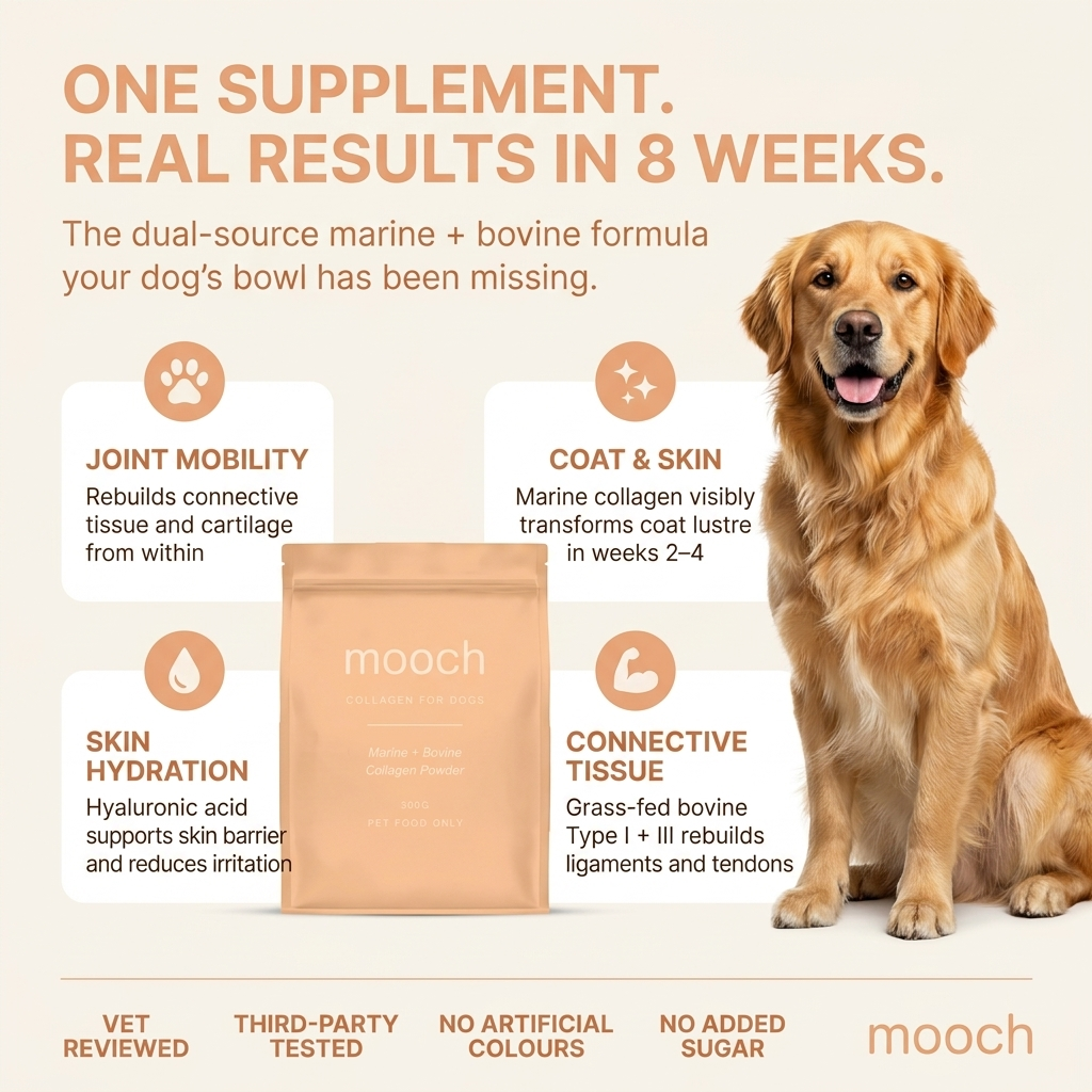 Daily Joint & Skin Supplement For Dogs