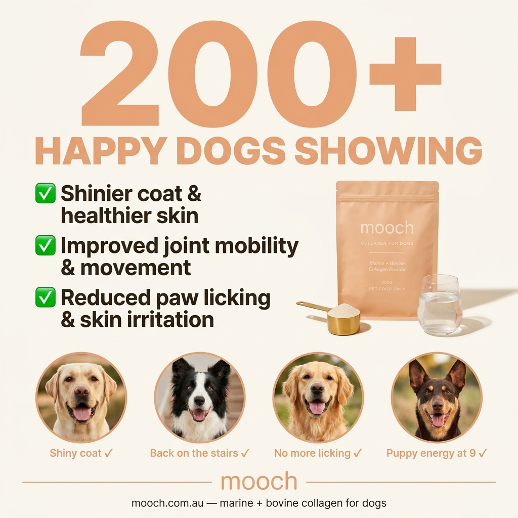 Daily Joint & Skin Supplement For Dogs